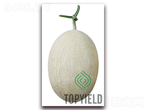 ���7̖(h��o)-��ϷN��-�S�ǷN�I(y��)