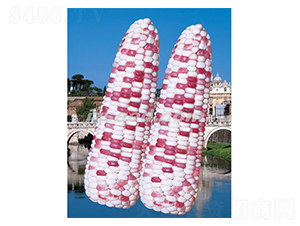 ���ƻ�Ŵ-���׷N��-�F(xi��n)���N�I(y��)