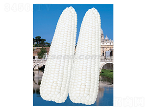 �����yŴ-���׷N��-�F(xi��n)���N�I(y��)