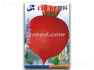 ���~��֬�t-�}���N��-�F(xi��n)���N�I(y��)