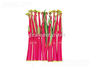 ���tһ̖(h��o)-��޷�N��-�F(xi��n)���N�I(y��)