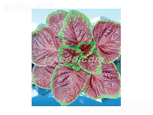 ���@��t�{��-�{�˷N��-�F(xi��n)���N�I(y��)