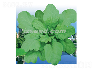 ̩�����~����-����N��-�F(xi��n)���N�I(y��)