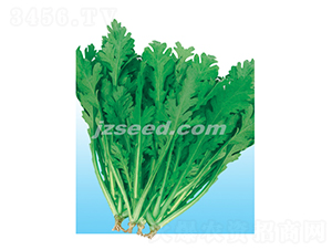 ��ջ��~����-����N��-�F(xi��n)���N�I(y��)