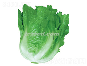 �ă�(y��u)�ļ�-���˷N��-�F(xi��n)���N�I(y��)