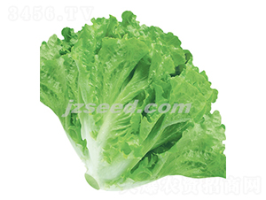 ��������-���˷N��-�F(xi��n)���N�I(y��)