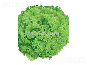 �������-���˷N��-�F(xi��n)���N�I(y��)