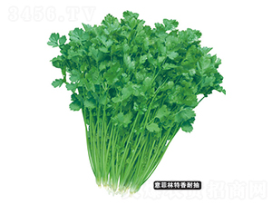 ̩���ļ��ͳ�ܾݴ-ܾݴ�N��-�F(xi��n)���N�I(y��)