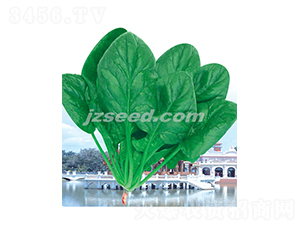 �����񲤲�-���˷N��-�F(xi��n)���N�I(y��)