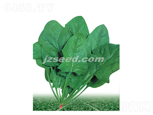 ��������-���˷N��-�F(xi��n)���N�I(y��)