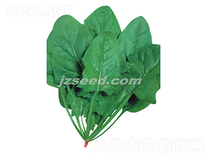 ��ʿ��ɏ��-���˷N��-�F(xi��n)���N�I(y��)