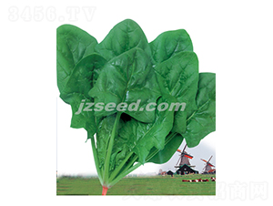 ���m����368-���˷N��-�F(xi��n)���N�I(y��)