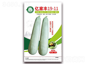 �|���S19-11-��ϷN��-�|���S