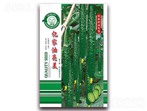 �|��������-�S�ϷN��-�|���S