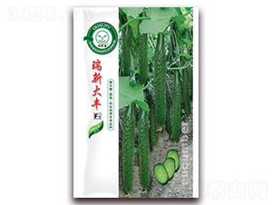 ���´��S-�S�ϷN��-�|���S