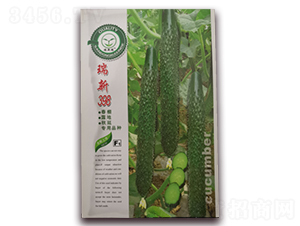 ����398-�S�ϷN��-�|���S