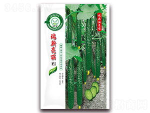 ��������-�S�ϷN��-�|���S