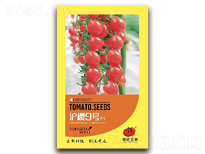 �o��9̖(h��o)-���ѷ۹��N��-�|���S