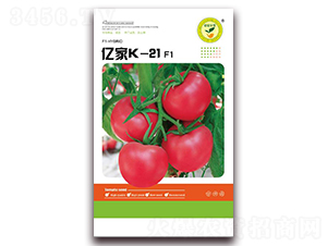 �|��K-21-���ѷ۹��N��-�|���S