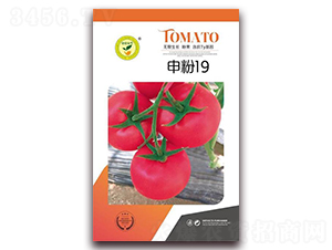 ���19-���ѷ۹��N��-�|���S