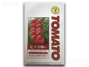 �|�S����-���ѷ۹��N��-�|���S