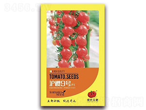 ����9̖(h��o)-���ѷ۹��N��-�|���S