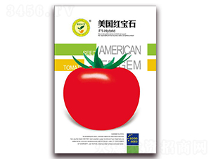 ����(gu��)�t��ʯ-���Ѽt���N��-�|���S