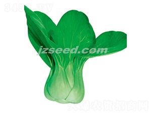 ����һ̖-С�ײ˷N��-�F(xi��n)���N�I(y��)