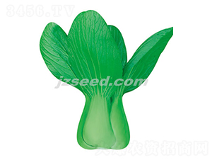 ����21-С�ײ˷N��-�F(xi��n)���N�I(y��)