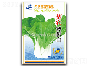 ���r���_��-С�ײ˷N��-�F(xi��n)���N�I(y��)