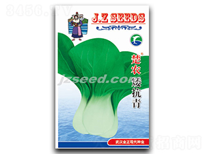 ���r(n��ng)������-С�ײ˷N��-�F(xi��n)���N�I(y��)