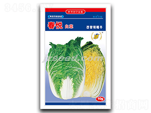 ����-�ײ˷N��-�F(xi��n)���N�I(y��)