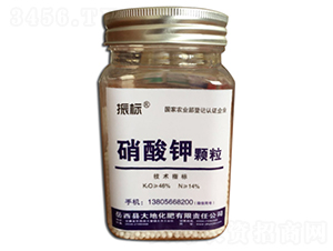 ������w��-���(bi��o)-��ػ���