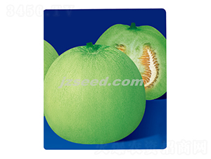 �������-��ϷN��-�F(xi��n)���N�I(y��)