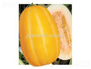 �������-��ϷN��-�F(xi��n)���N�I(y��)