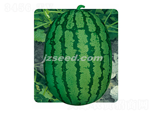 ��������-���ϷN��-�F(xi��n)���N�I(y��)