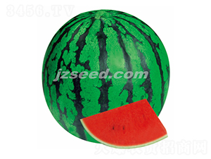 �������S-���ϷN��-�F(xi��n)���N�I(y��)