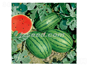 ̩���t��-���ϷN��-�F(xi��n)���N�I(y��)