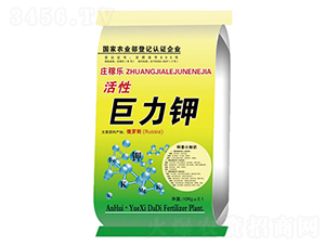 ���Ծ����-�f�ژ�-��ػ���