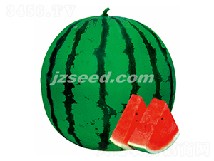 �����ی�-���ϷN��-�F(xi��n)���N�I(y��)