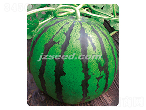 ��������-���ϷN��-�F(xi��n)���N�I(y��)