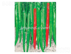 ������̖-�����N��-�F(xi��n)���N�I(y��)