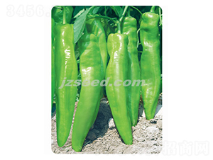 ����618-�����N��-�F(xi��n)���N�I(y��)