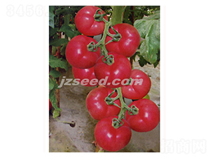 �������-���ѷN��-�F(xi��n)���N�I(y��)