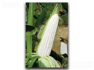 �A������168-Ŵ���׷N��-�A���N�I(y��)