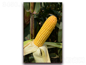 �A��78-���׷N��-�A���N�I(y��)