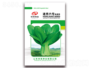 ������̖(h��o)-�๣�˷N��-�A���N�I(y��)