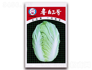 ������̖(h��o)-��ײ˷N��-�A���N�I(y��)