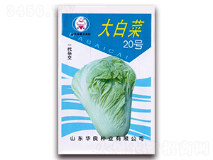 ��ײ�20̖(h��o)-��ײ˷N��-�A���N�I(y��)