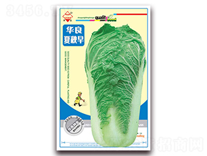 �A��������-��ײ˷N��-�A���N�I(y��)